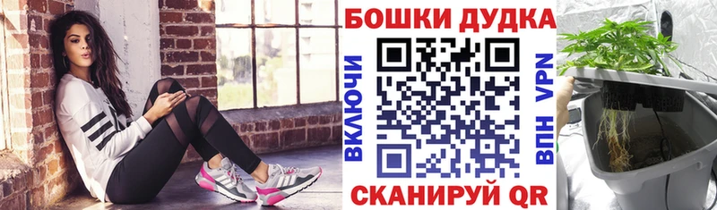Виды наркоты Куровское Каннабис  omg tor  АМФ  ГАШИШ  Cocaine  Меф мяу мяу 